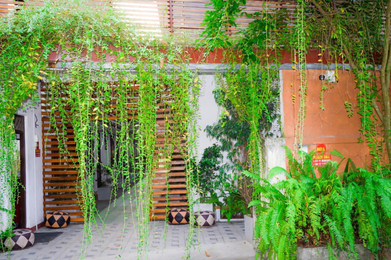 Katunayaka Cinnamon Airport Residencies מראה חיצוני תמונה
